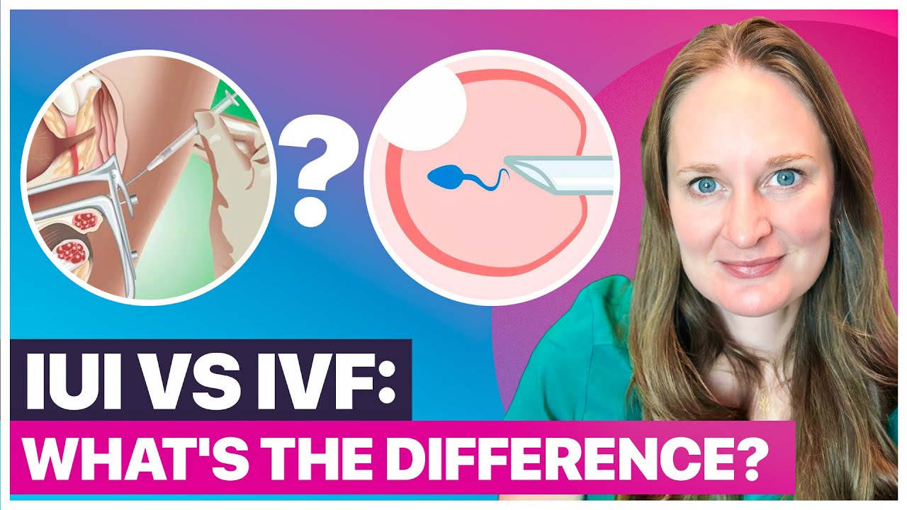 IUI vs IVF: What’s the Difference and Which Is More Effective?